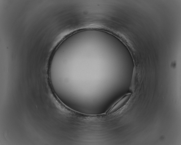 X0000091071422200708271207