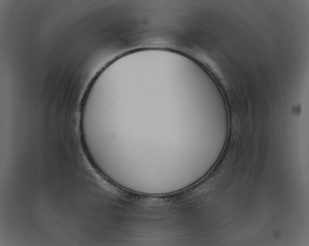 X0000091071424200708271207