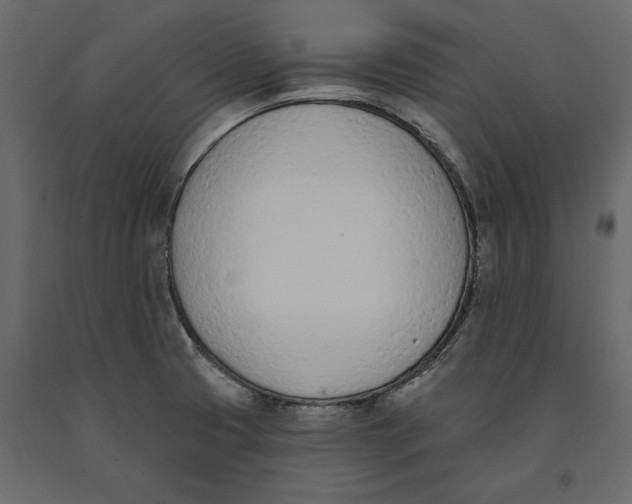 X0000091071425200708271207