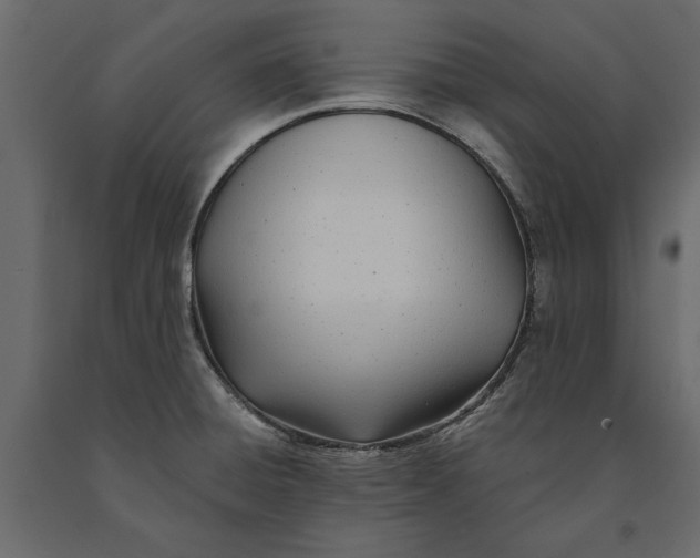 X0000091071428200708271207