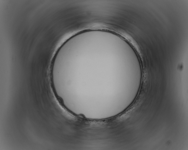 X0000091071429200708271207