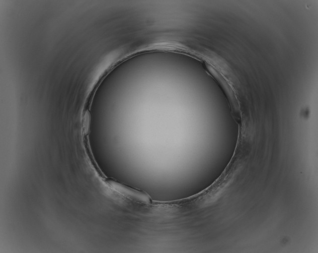 X0000091071430200708271207