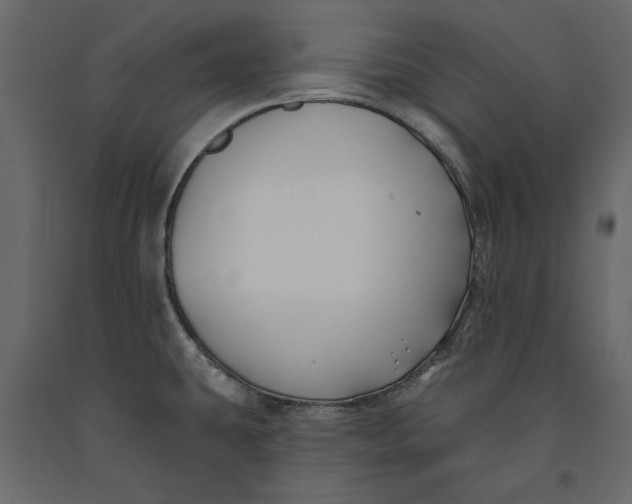 X0000091071431200708271207