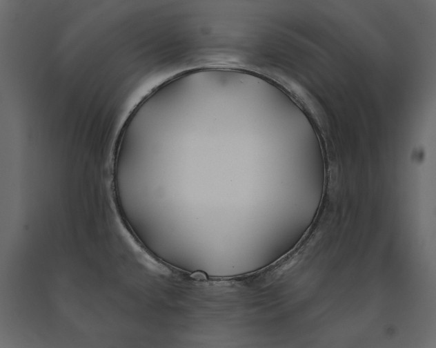 X0000091071432200708271207