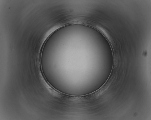 X0000091071434200708271207