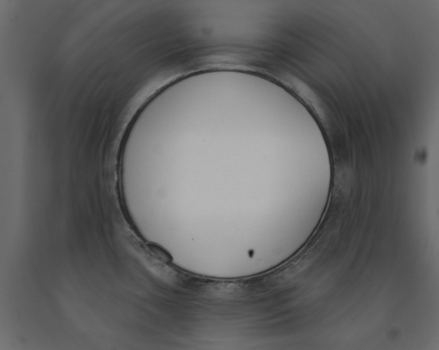 X0000091071435200708271207