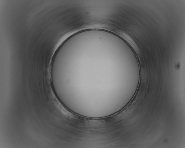 X0000091071436200708271207