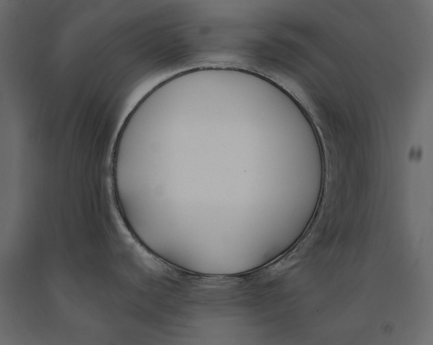 X0000091071440200708271207