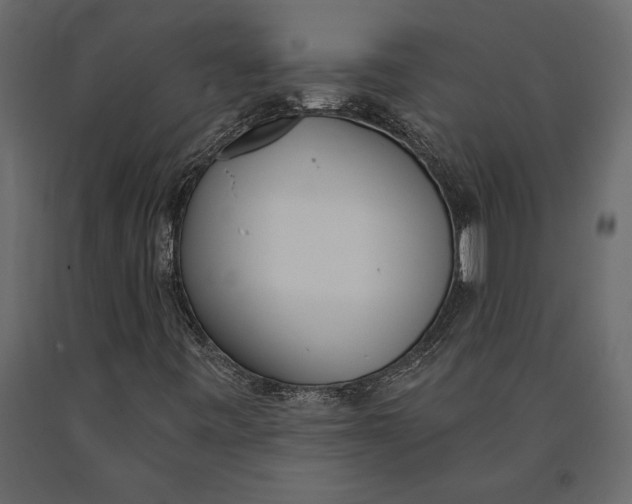 X0000091071443200708271206