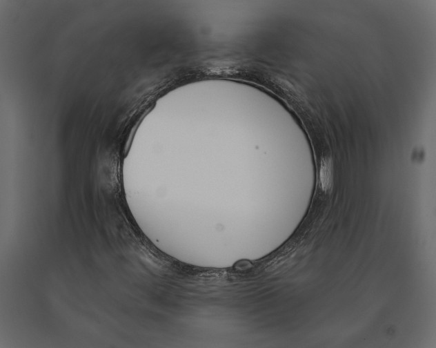 X0000091071444200708271206