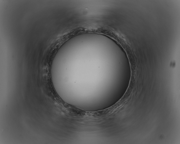 X0000091071445200708271206