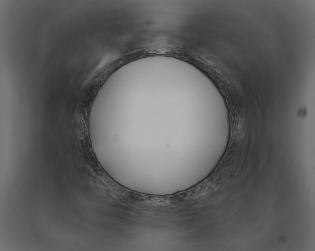 X0000091071446200708271206