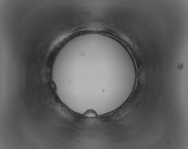 X0000091071448200708271206