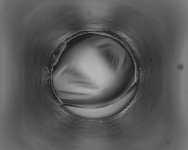 X0000091071449200708271206