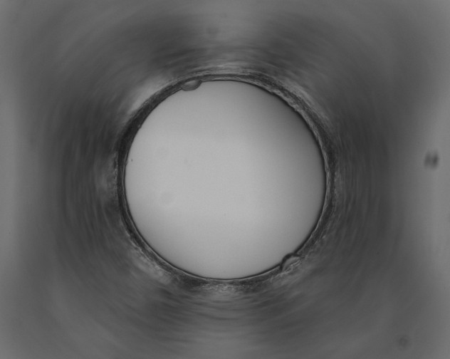 X0000091071450200708271206