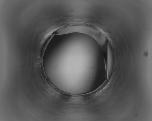 X0000091071453200708271206