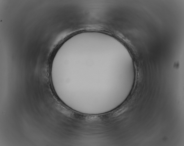 X0000091071454200708271206