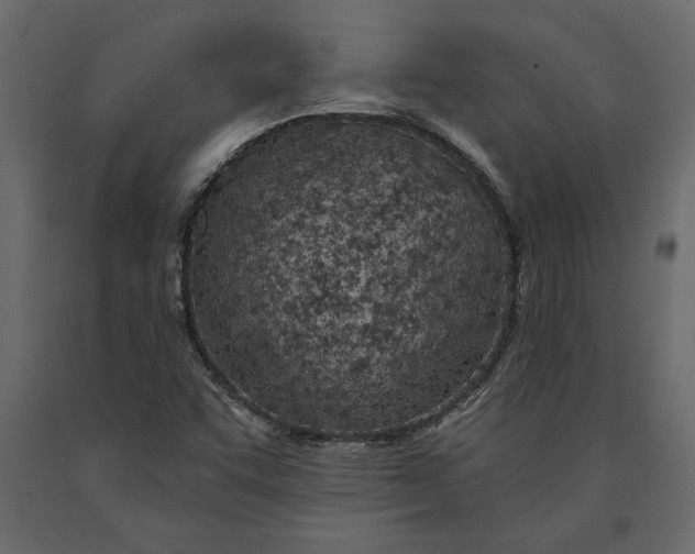 X0000091071455200708271206