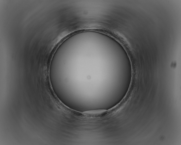 X0000091071457200708271206