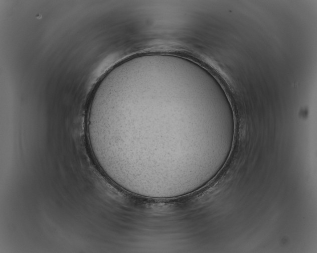 X0000091071459200708271206