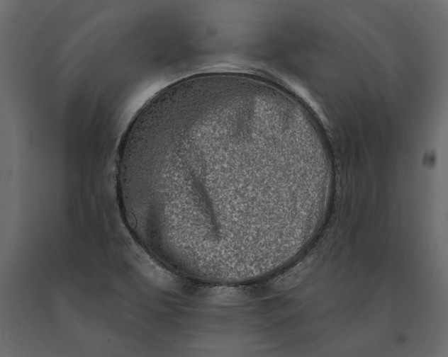 X0000091071463200708271206