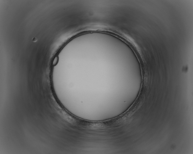 X0000091071464200708271206