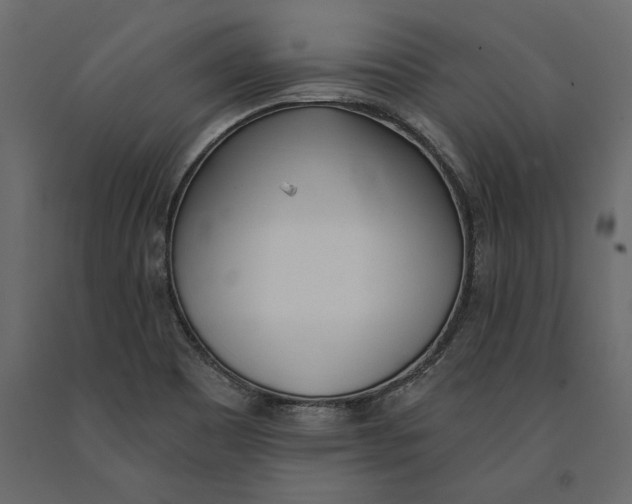 X0000091071465200708271206