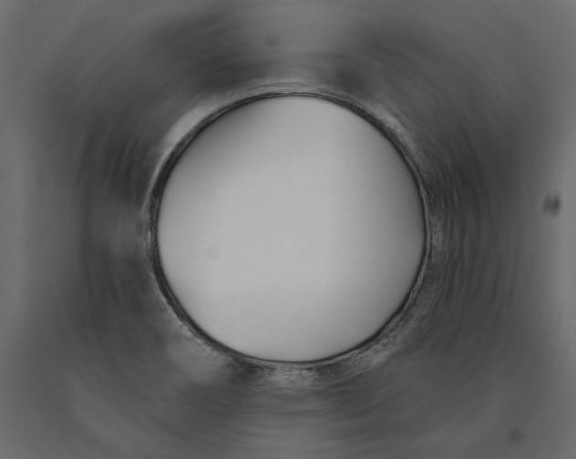 X0000091071466200708271206