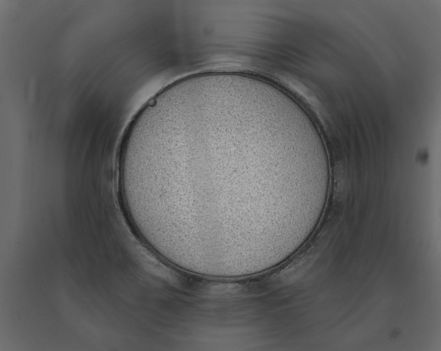 X0000091071467200708271206