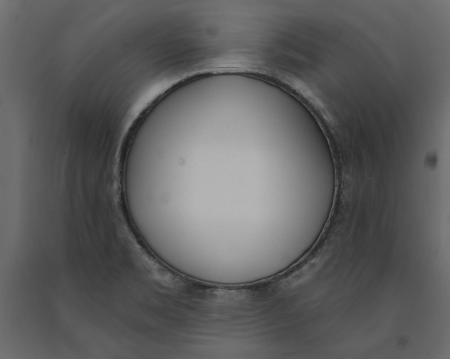 X0000091071469200708271206