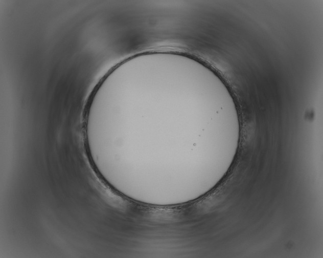 X0000091071470200708271206