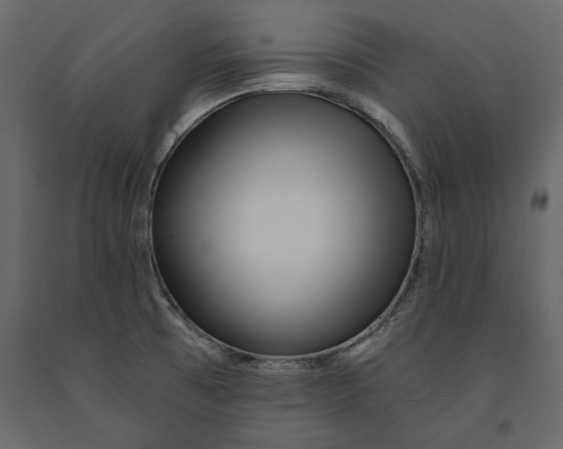 X0000091071473200708271206