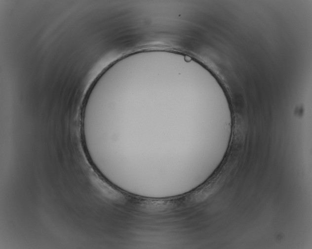 X0000091071474200708271206