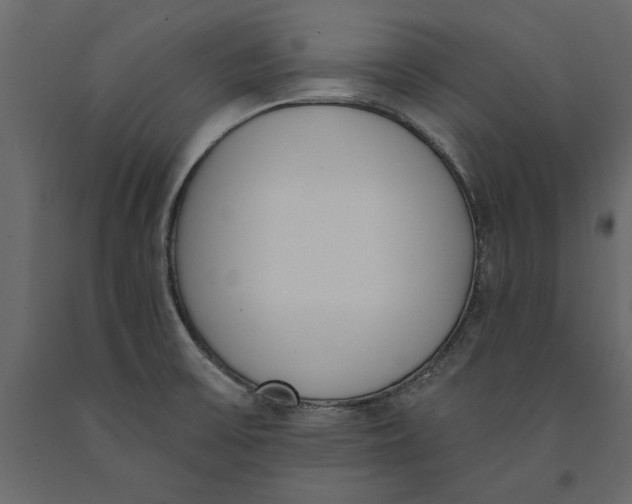 X0000091071475200708271206