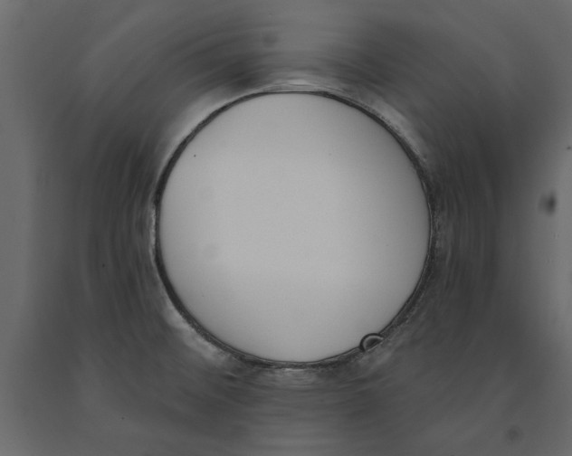 X0000091071476200708271206