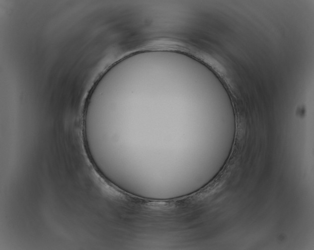 X0000091071478200708271206