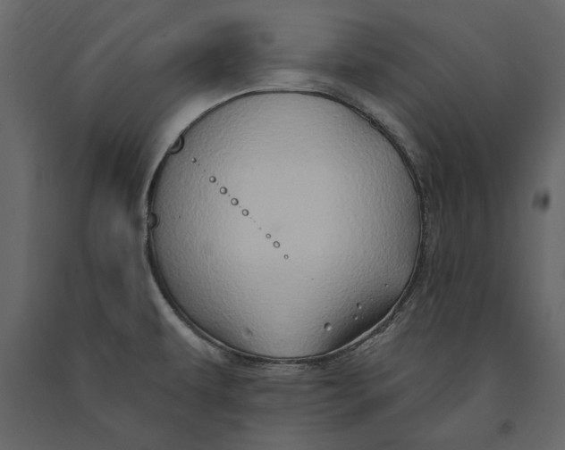 X0000091071479200708271206