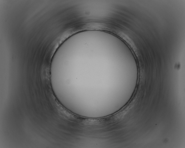 X0000091071481200708271206