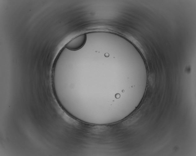 X0000091071482200708271206