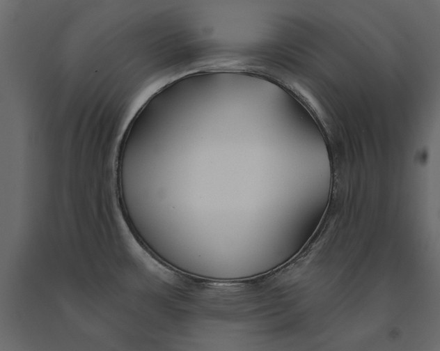 X0000091071483200708271206