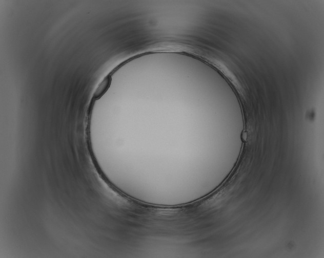 X0000091071484200708271206