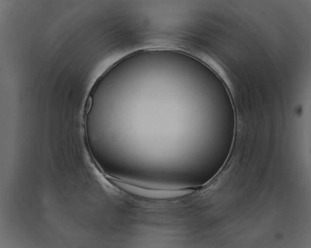 X0000091071485200708271206