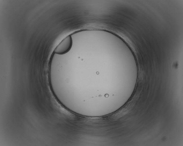 X0000091071486200708271206