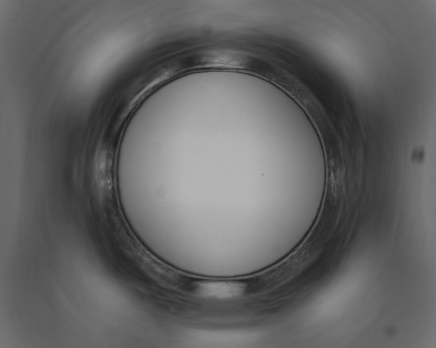 X0000091071487200708271206