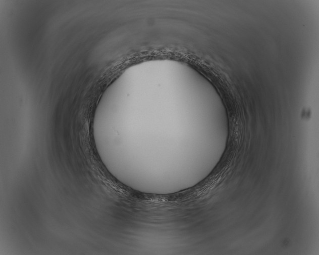 X0000091071489200708271205