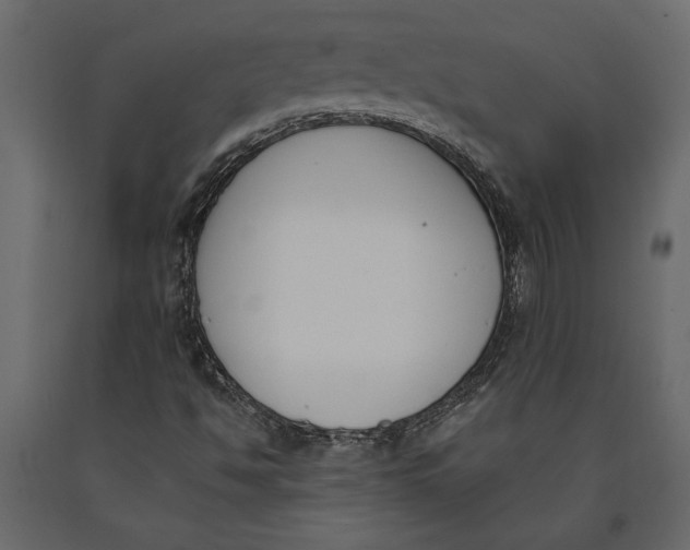 X0000091071494200708271205