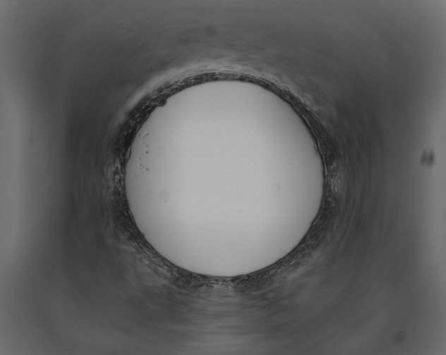 X0000091071495200708271205