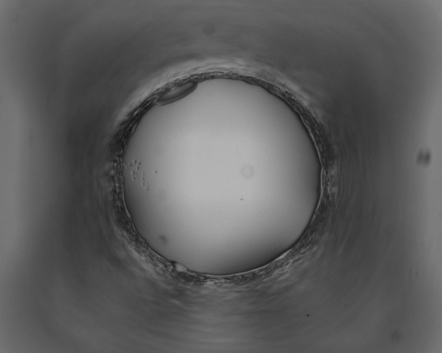 X0000091071496200708271205