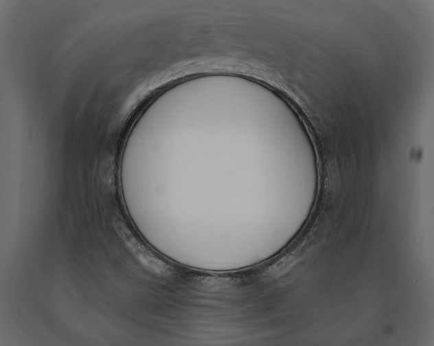 X0000091071499200708271205