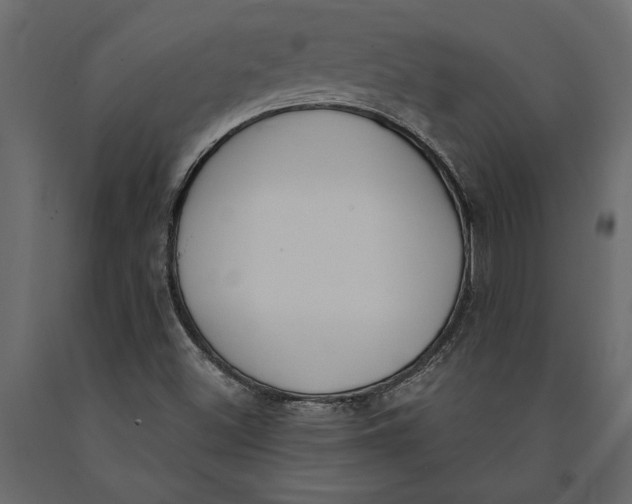 X0000091071500200708271205